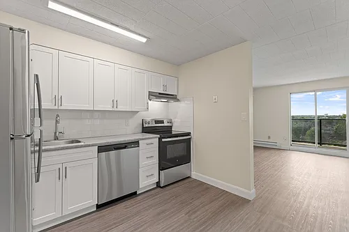 101 Langlois Ave Photo 1