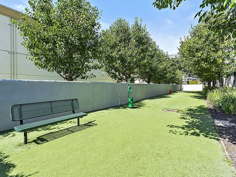 Let your pet free in our designated pet run area