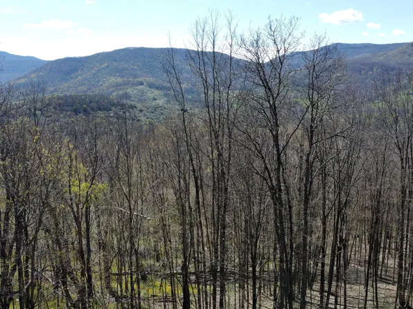 15 Hawthorne Ridge Rd, Slatyfork, WV 26291