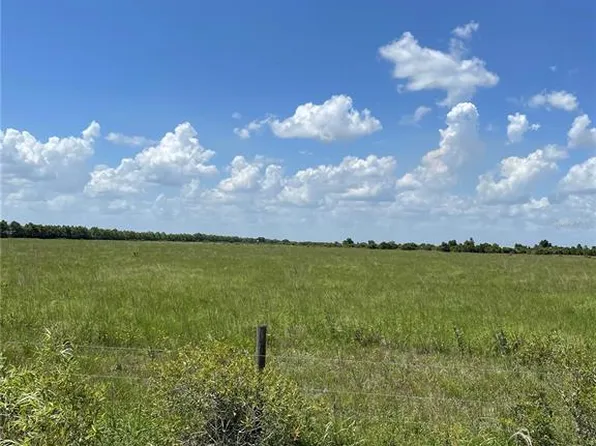 39 Ellie Ln, Venus, FL 33960