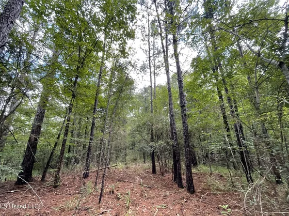 6117 Chapel Hill Rd, Utica, MS 39175