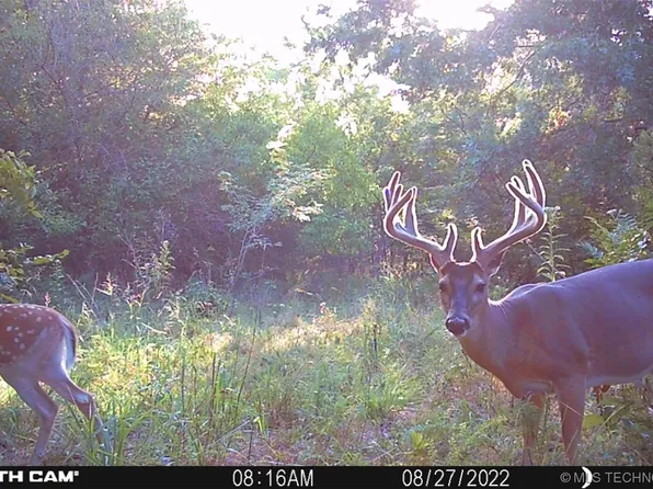 4 Boat Ramp Rd, Eufaula, OK 74432