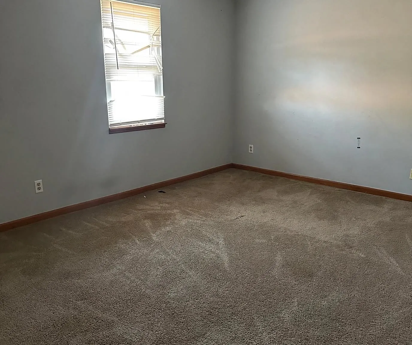 2 bed, 1.5 bath, 1150 sqft, $1,260 — Photo 3