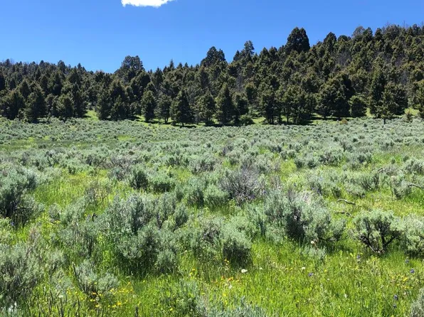 3039 Moffet Gulch Rd, Butte, MT 59701