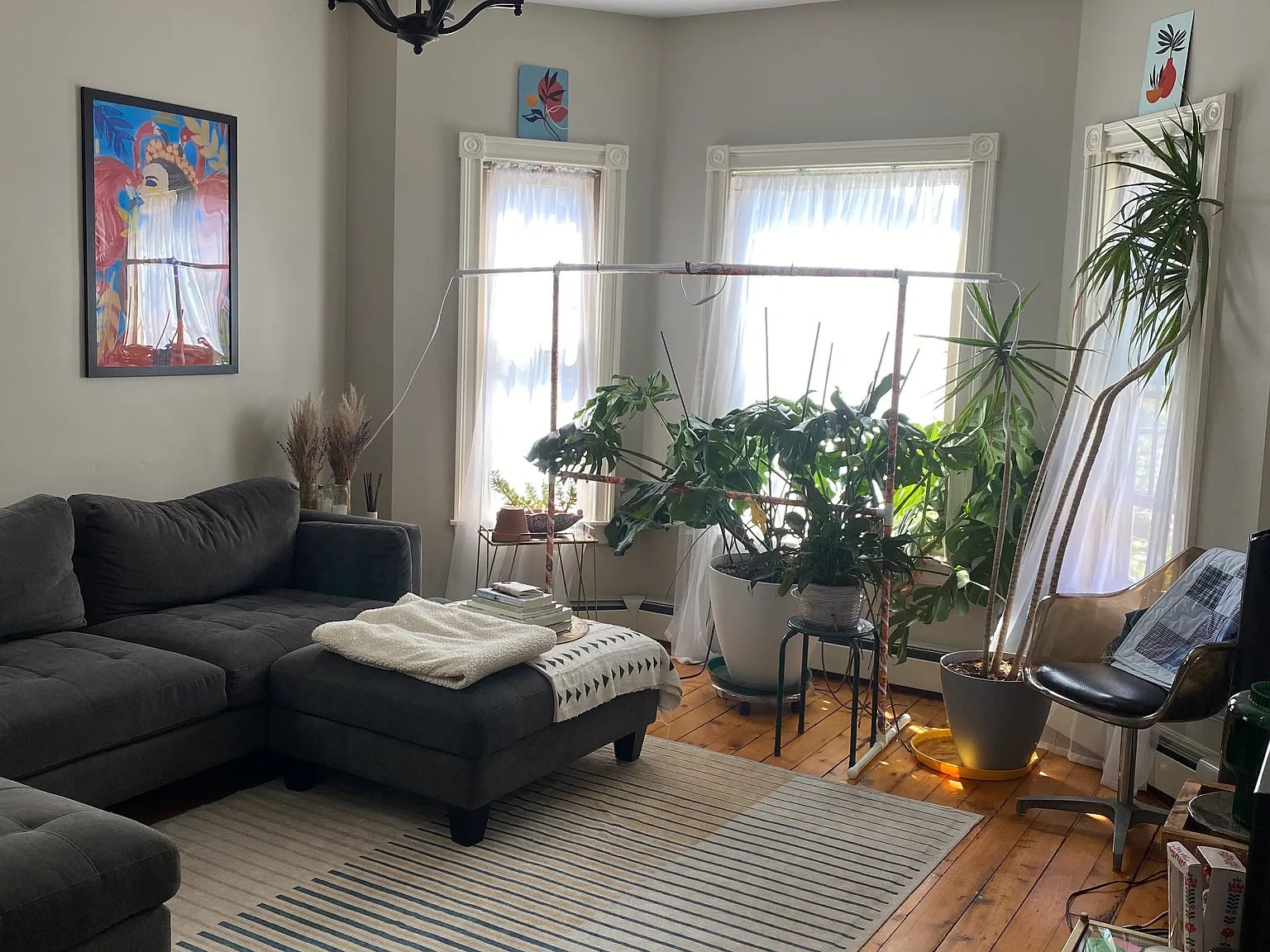 2 bed, 950 sqft, $1,950 — Photo 1