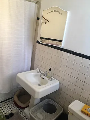 Rented by Brooklyn Real Estate Services | media 23