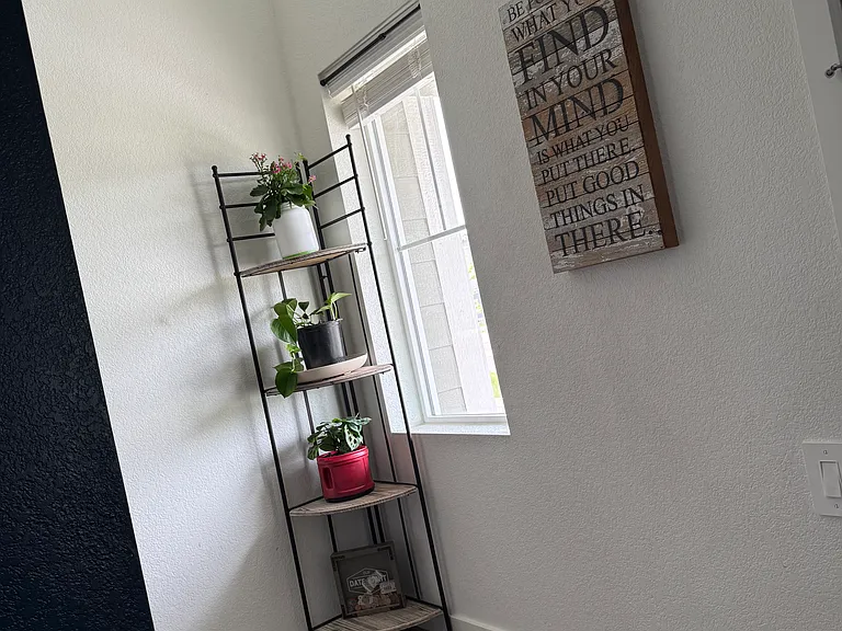 434 Mountain Bluebird Dr — Photo 7