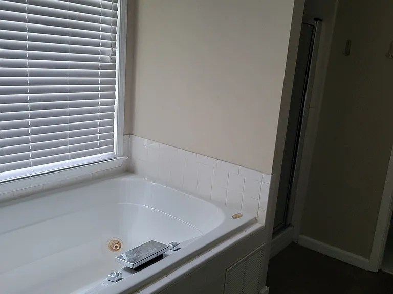 Bad photo but that is the bathtub off of the Master. It is big and looks out on the back yard.
