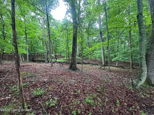 40 Red Wing Rd, Brandenburg, KY 40108