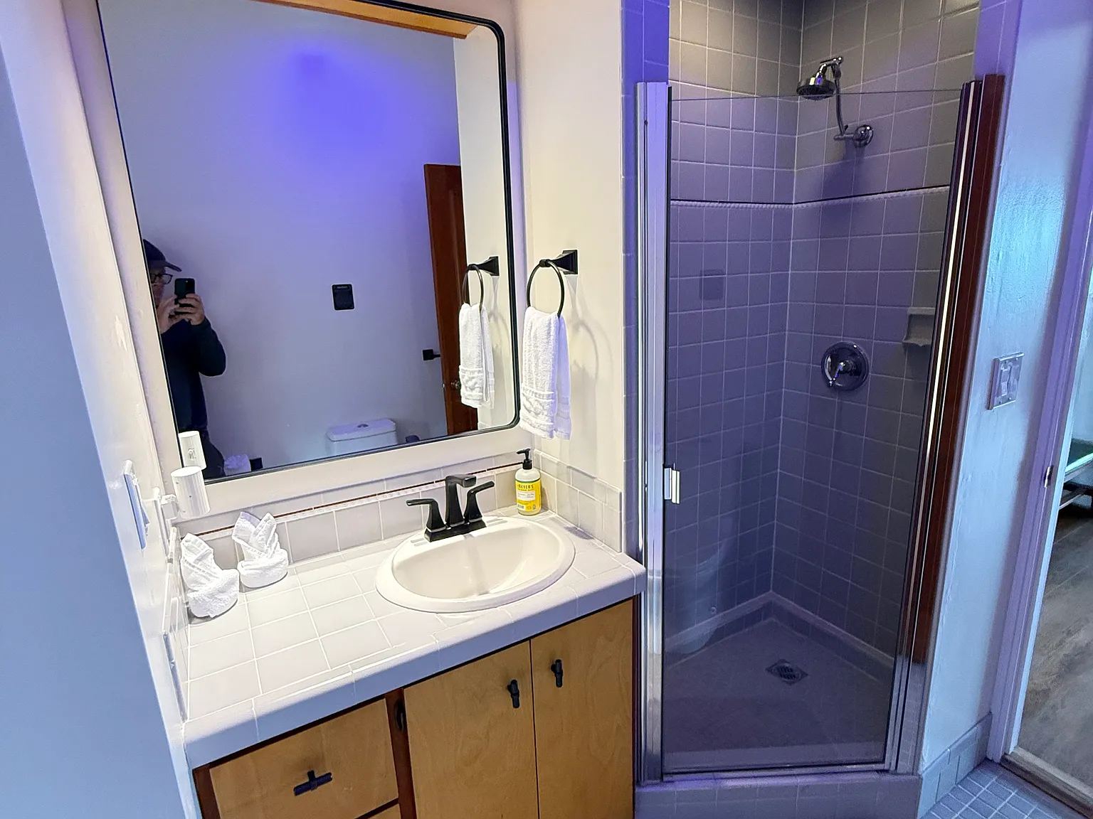 2 bed, 1600 sqft, $3,350 — Photo 4