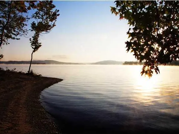 219 Shoreline Dr, Spring City, TN 37381