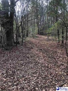 917 Belle Aire St, Society Hill, SC, 29593