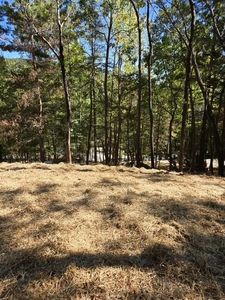 29 Treetopper Cir #203, Jasper, GA, 30143