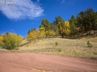 571 Beaver Pond Rd, Divide, CO 80814