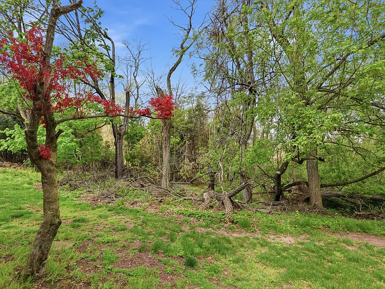 23 Darien #A — Photo 31