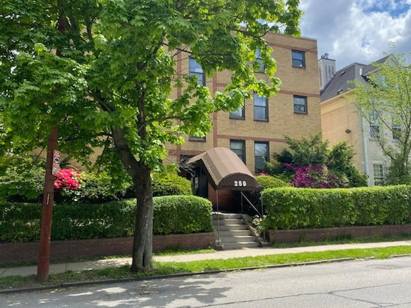 259 Shady Avenue — Photo 4