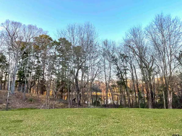 17961 Gordons Landing Rd, Arp, TX 75750