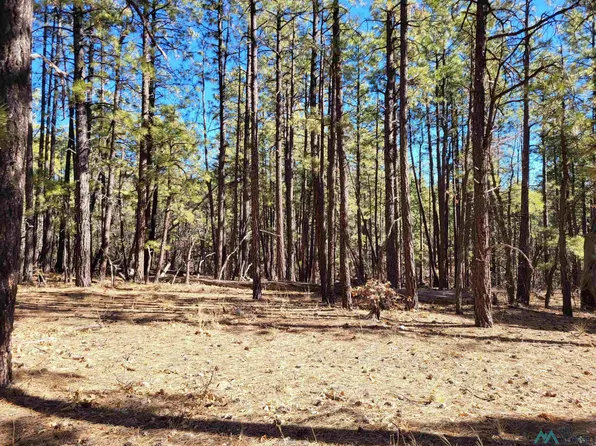 LOT-34B McGaffey Pnes, Fort Wingate, NM 87316