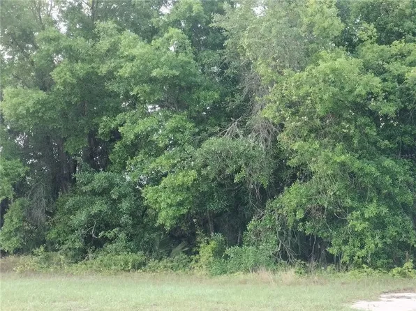 E Bluebell Ave Lot 6, Eustis, FL 32736