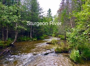 Myrtle Ln, Vanderbilt, MI 49795