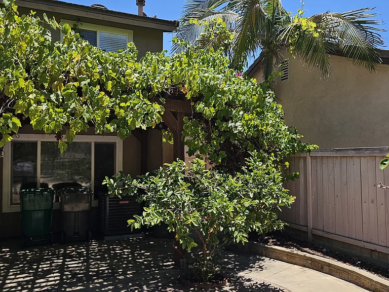 233 Canyon Creek Way — Photo 33