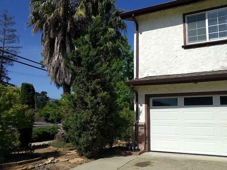 1669 Clarkspur Ln #D1 — Photo 4