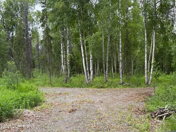 14412 E Ian Tawney Dr, Willow, AK 99688