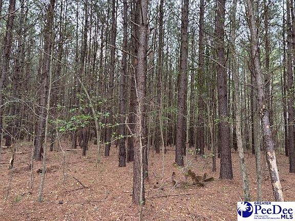 2nd image of Oak Stump Rd