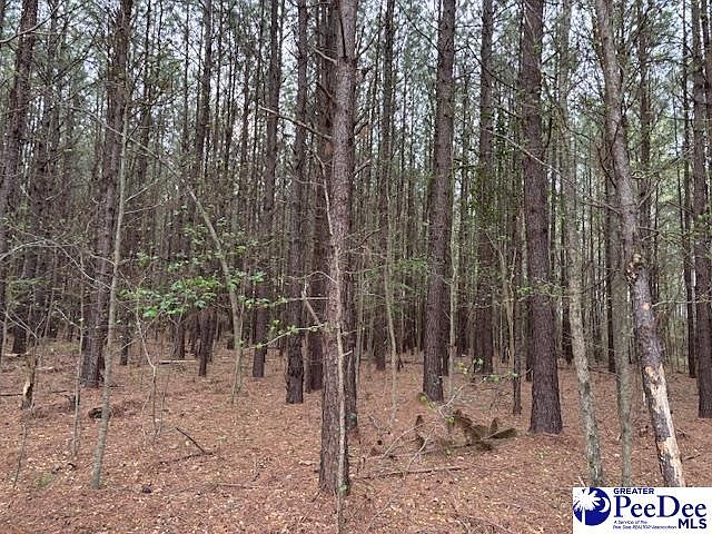 2nd image of Oak Stump Rd