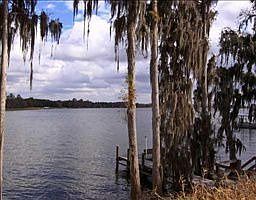 1st image of 11203 Lake Sassa Dr
