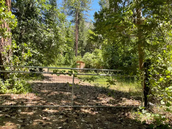 1460 Lake Rd, Junction City, CA 96048