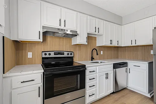 The Reserve @ BLU Townhomes Photo 1