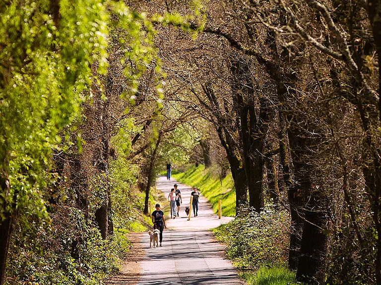 Walk to the beautiful West County Regional trail!