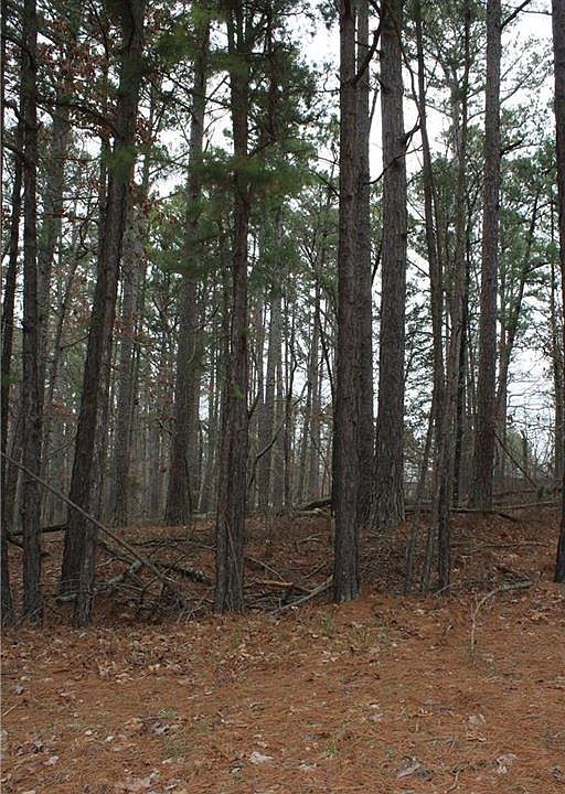 1st image of Bassingham Dr