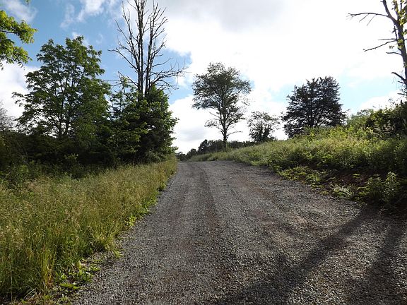 4th image of Forest Hill Dr