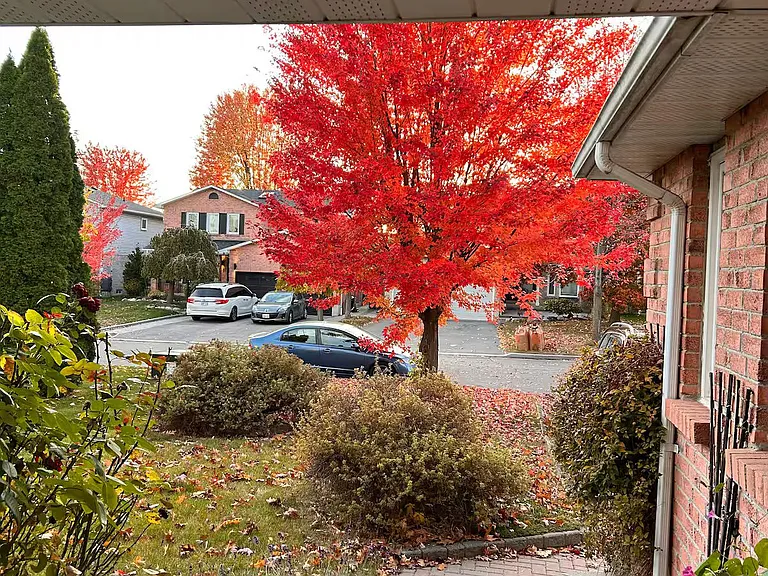27 Gladiola Ct — Photo 3