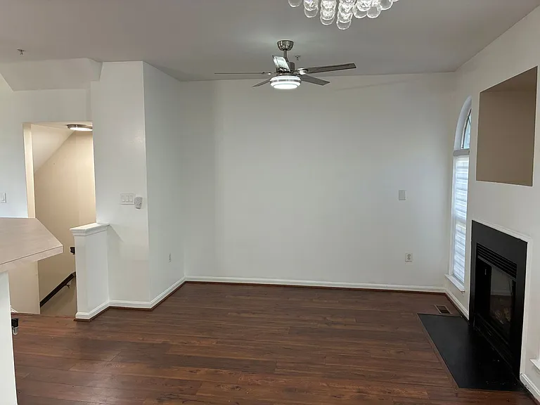 10164 Tree Frog Pl — Photo 22