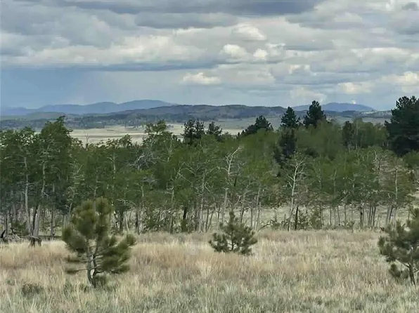 187 Angus Circle LOT 962, Hartsel, CO 80449