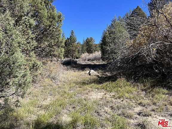 3rd image of 0 Highway 38