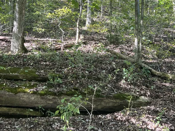0 Neeley Creek Rd, Celina, TN 38551
