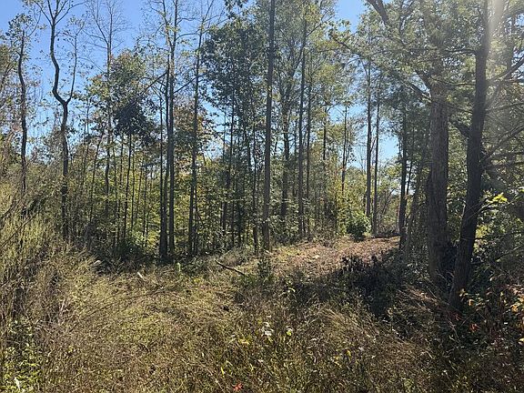 2nd image of Mount Helen Rd