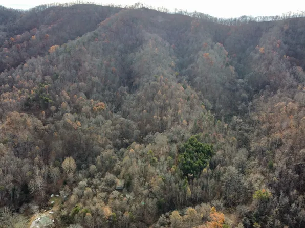 Elum Coffey Rd, Thorn Hill, TN 37881