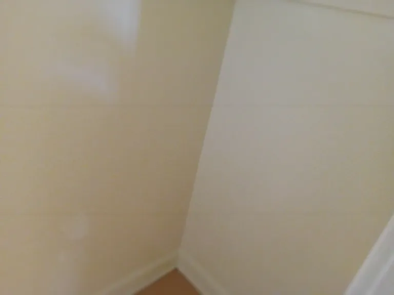 closet cont'd