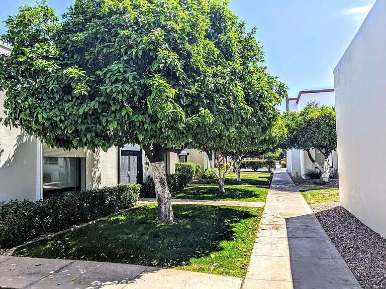 7662 E Minnezona Ave — Photo 17
