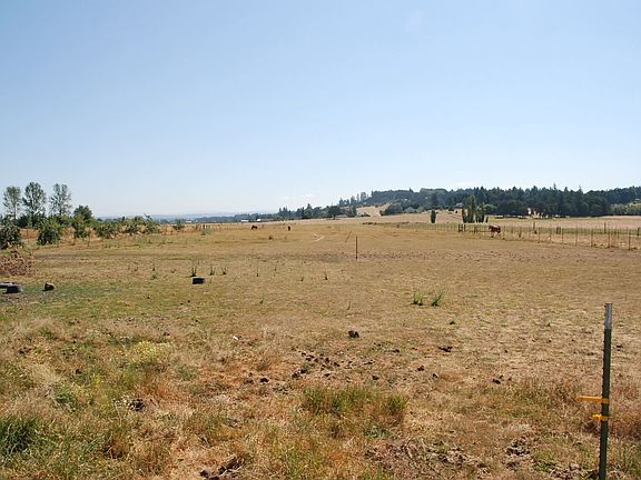 Fully fenced pasture looking East