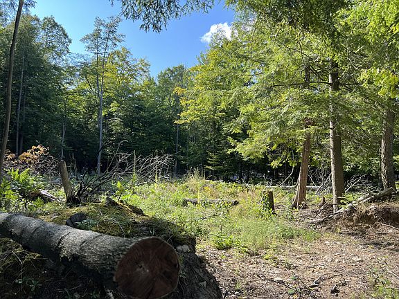 5th image of 10204 W Munro Lake Dr