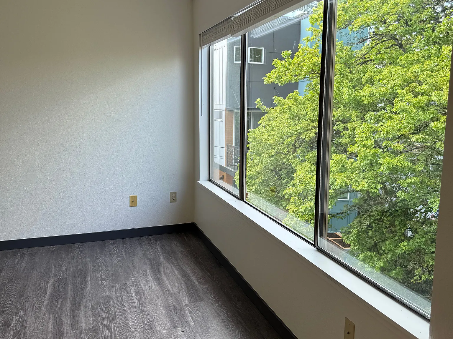 2 bed, 850 sqft, $1,895 — Photo 3