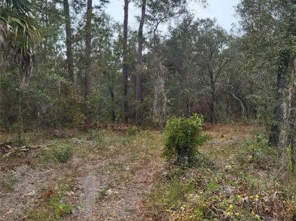 Xx 125th Ct, Dunnellon, FL 34431