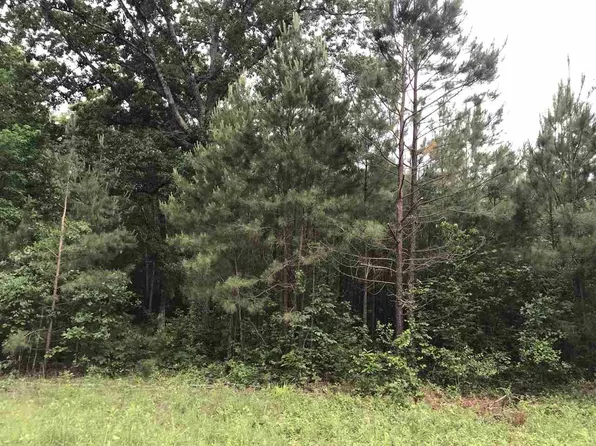Tbd Maple Springs Rd, Hallsville, TX 75650