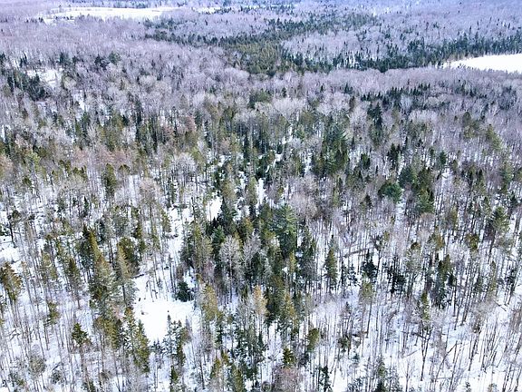 3rd image of 1606 Town Farm Road